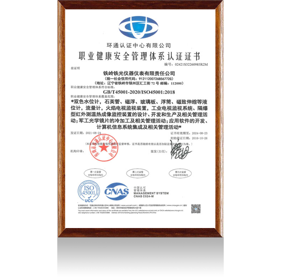 Occupational health and safety management system certification